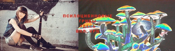 MDMA Premium VHQ Беломорск