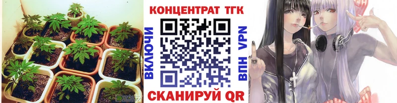 Дистиллят ТГК THC oil  Покровск 